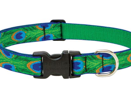 LupinePet Original Designs Multicolor Tail Feathers Nylon Dog Adjustable Collar Online