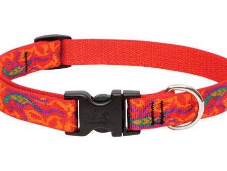 LupinePet Original Designs Multicolor Go Go Gecko Nylon Dog Adjustable Collar Online Hot Sale