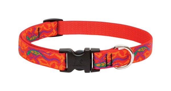 LupinePet Original Designs Multicolor Go Go Gecko Nylon Dog Adjustable Collar Online Hot Sale